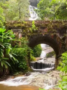 cachoeira-ponte-antiga-vegetacao-verde-jpg.webp